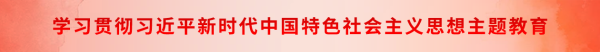 學(xué)習(xí)貫徹習(xí)近平新時(shí)代中國(guó)特色社會(huì)主義思想主題教育.png