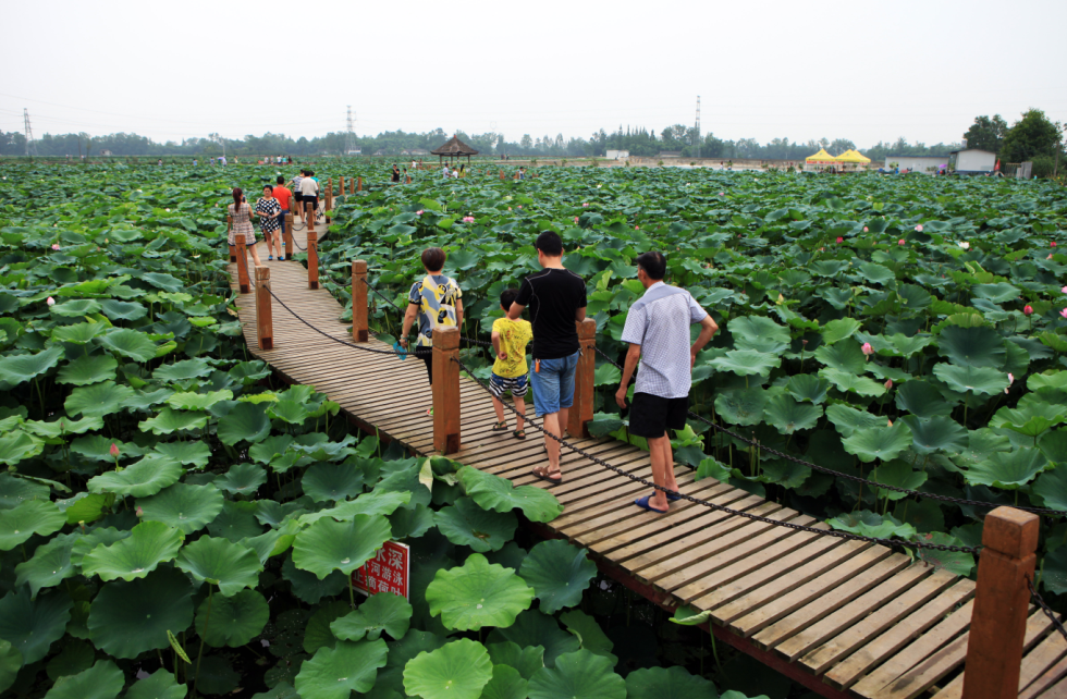 QQ截圖20151029145019.png